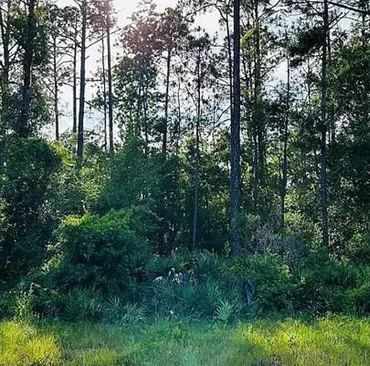 1st image of 109 SAILFISH Drive