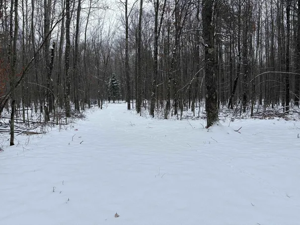 W12066 Jones Rd, Athelstane, WI 54104