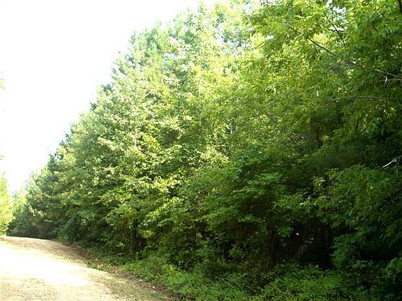 3rd image of TBD Pineywood Church Road