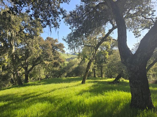 16 Sleepy Hollow Dr, Carmel Valley, CA 93924