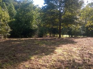 2 Gibbs Point, Mineral Bluff, GA 30559