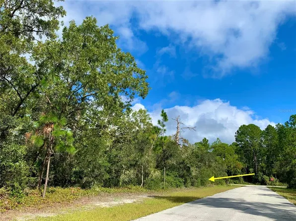 LOT 13 Vitex Ct Lot 13, Eustis, FL 32736