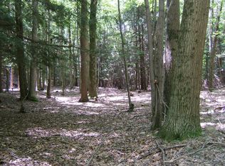 Indian Bay Rd, Montague, MI 49437