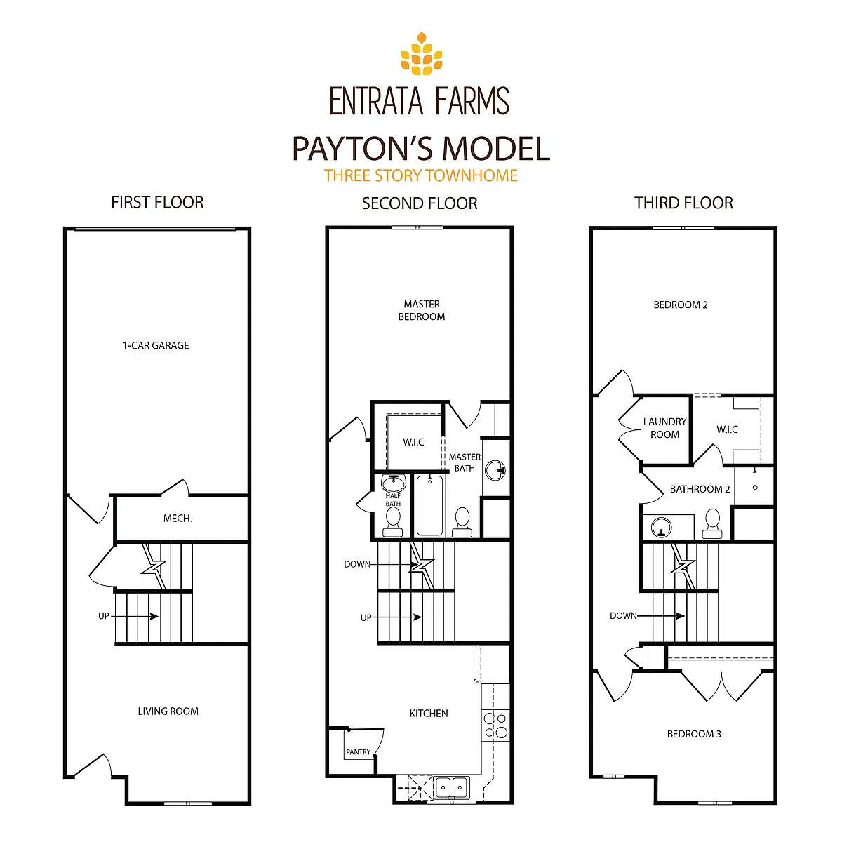 Floor plan 3-Story Payton