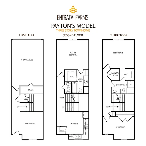 Floor plan 3-Story Payton