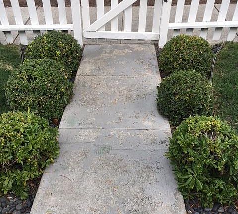 4th image of 1121 Virginia Way
