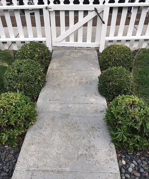1121 Virginia Way — Photo 4