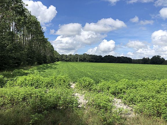 Southeast property corner