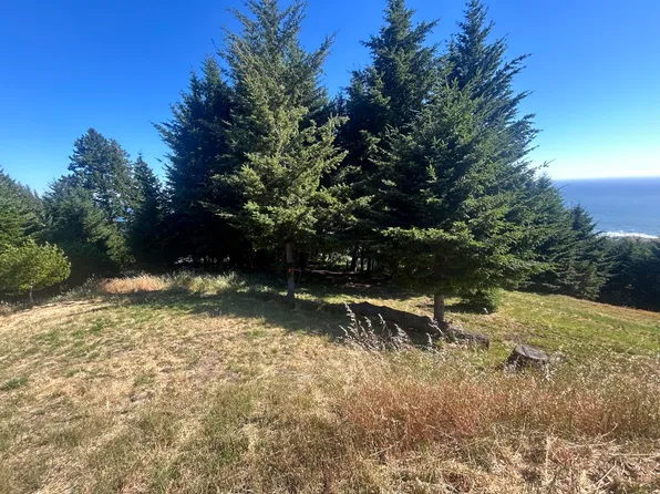 60 Highview Cir, Whitethorn, CA 95589