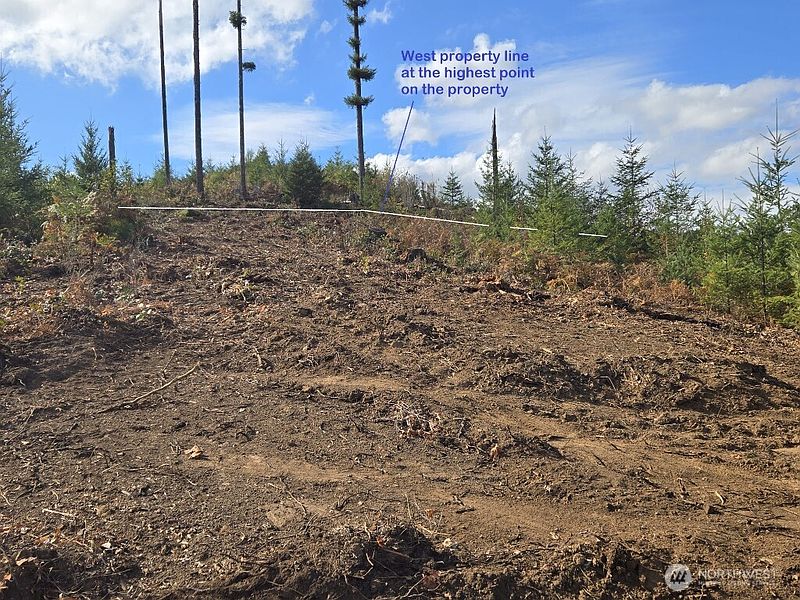 3rd image of 1051 SKAMANIA MINES Road