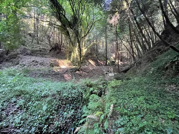 264 Dearborn Park Rd, Pescadero, CA 94060