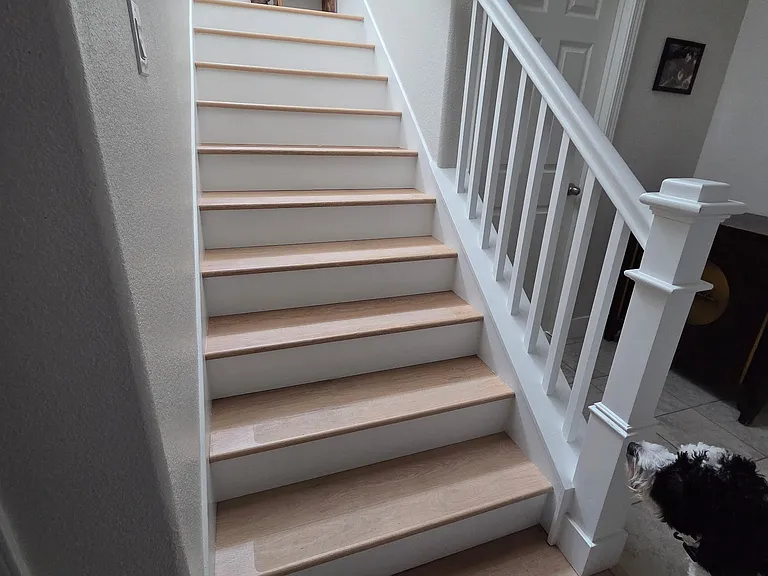 4548 Gray Lodge Loop — Photo 8