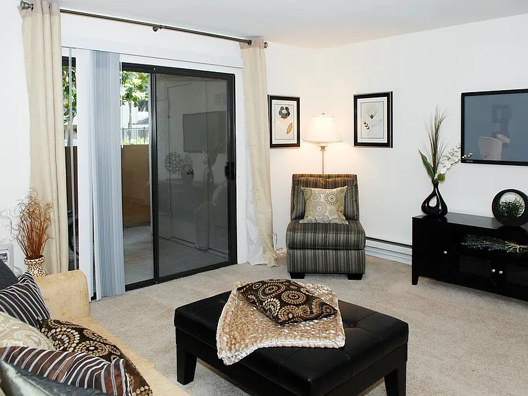 Classic Package I living room with carpet