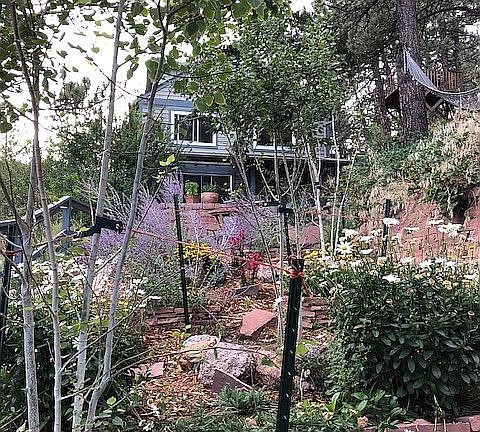 3rd image of 1072 Sunshine Canyon Dr