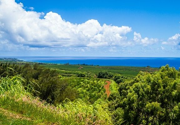 2nd image of Kaena St Lot 28
