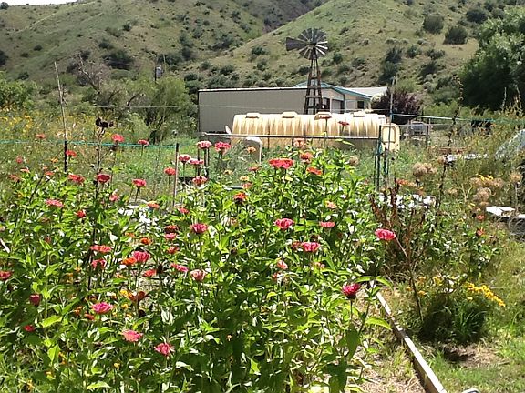 View from lower garden area 