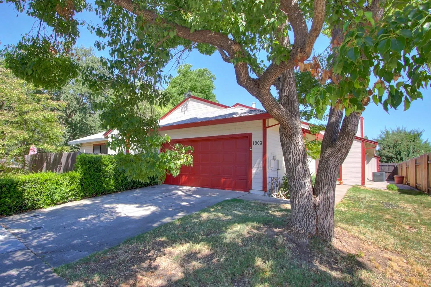 1903 Azurite Way photo 1