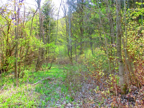 (undisclosed Address), Cherry Valley, NY 13320
