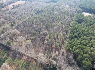 County Road 216, Beckville, TX 75631