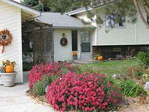 1st image of 800 Roza Dr