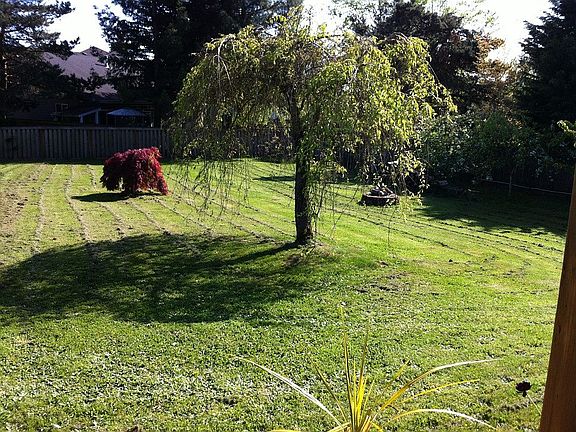 back yard from porch