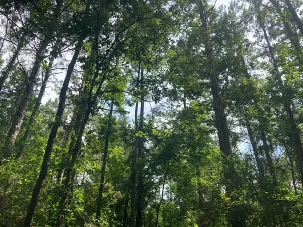 0 State Highway 450, Mount Herman, LA