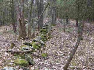 0 Pine Hill Rd, Buskirk, NY 12028