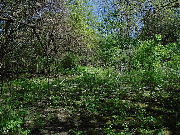 5th image of 500 S County Road 100 W