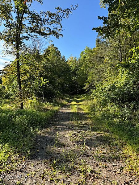 2nd image of L2 High Rock Road