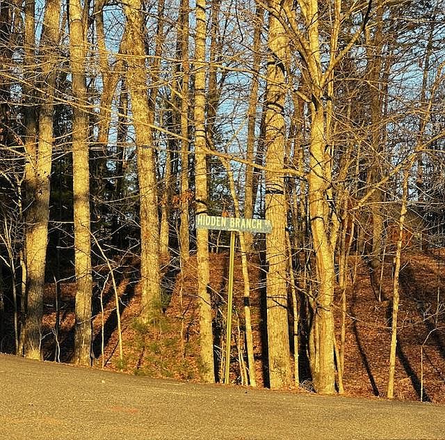 1st image of 18 Hidden Branch Dr
