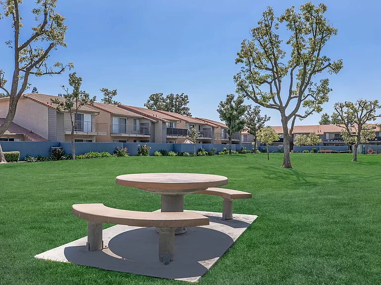 Sierra Vista — Photo 10