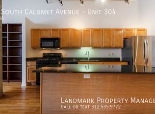 2001 S Calumet Ave APT 304, Chicago, IL 60616