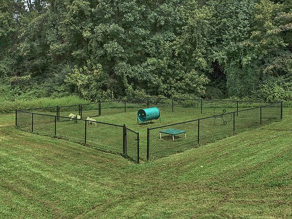 Dog Park
