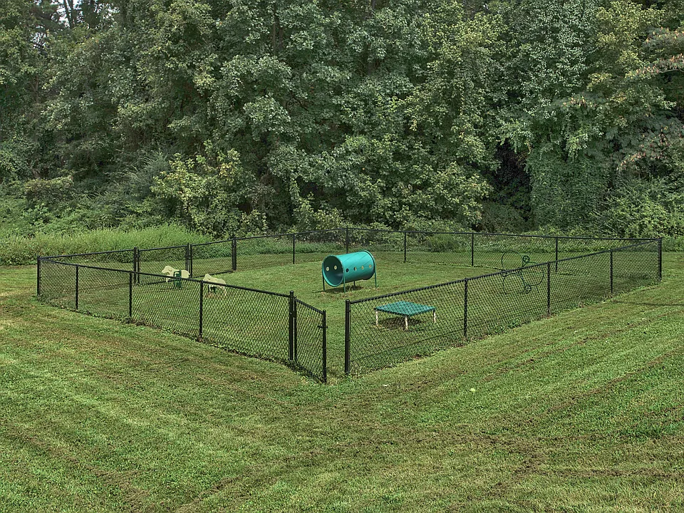 Dog Park