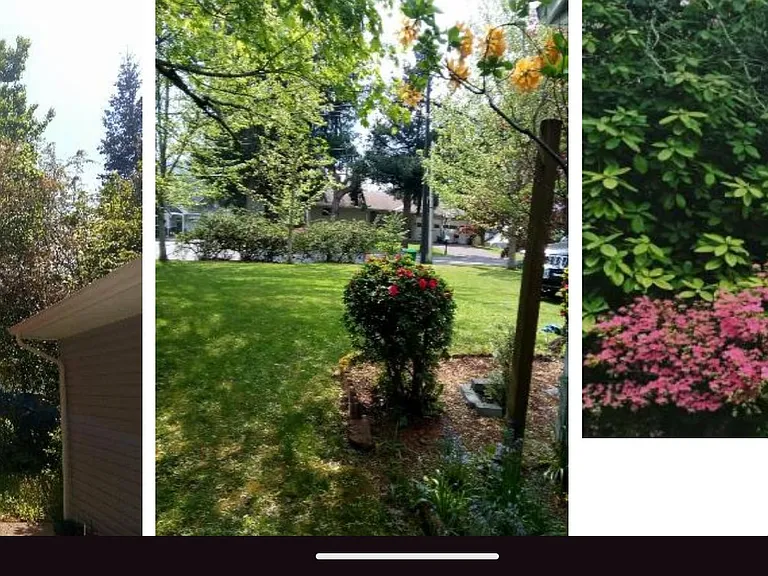 640 SE Williams Rd — Photo 12