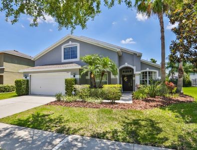 15312 Palomapark Ln, Lithia, FL, 33547