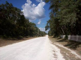 6464 Madonna Dr, Webster, FL 33597