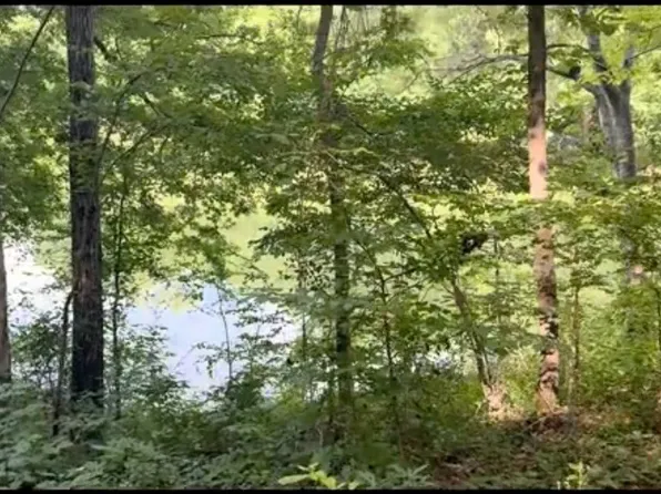 2170 Birmingham Rd, Centreville, AL 35042