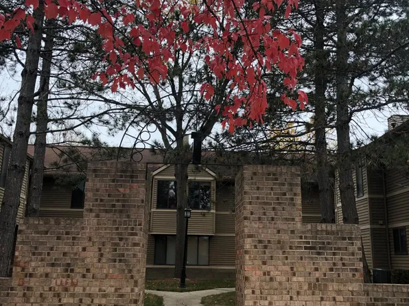 175 Briarcrest Dr Unit 106, Ann Arbor, MI 48104