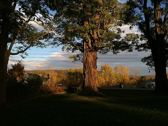 View to NE