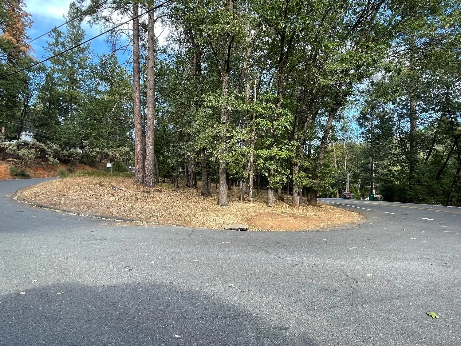 15379 Sky Pines Rd photo 1