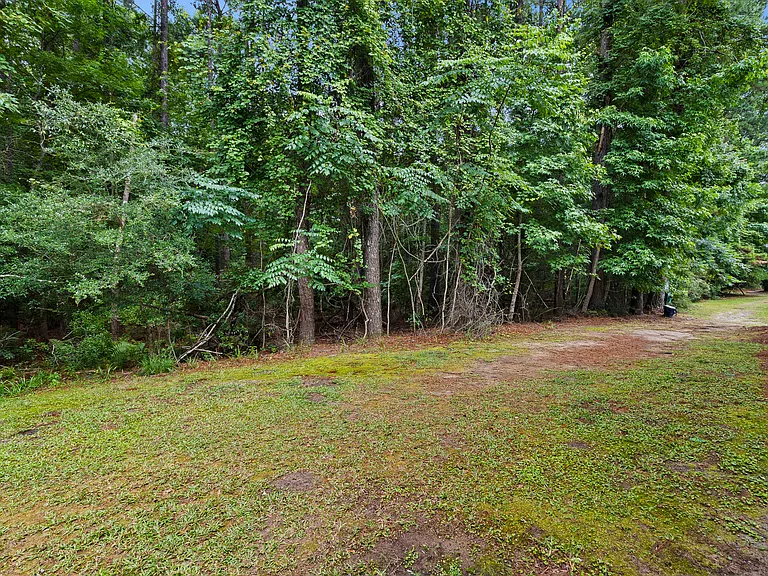 View from the porch