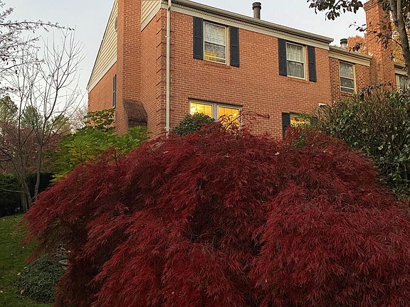Back of the House