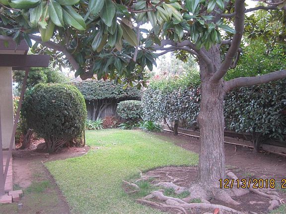3rd image of 316 N Magnolia St