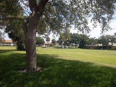 Gorgeous Golf Views