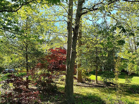 3rd image of 59 Longwood Dr