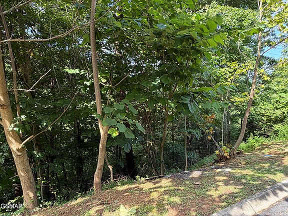 5th image of LOT 56 Smoky Ridge Way