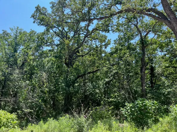 LOT 77 Kilkenny Rd, Poolville, TX 76487
