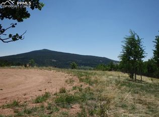 255 Andes Ter, Cripple Creek, CO 80813
