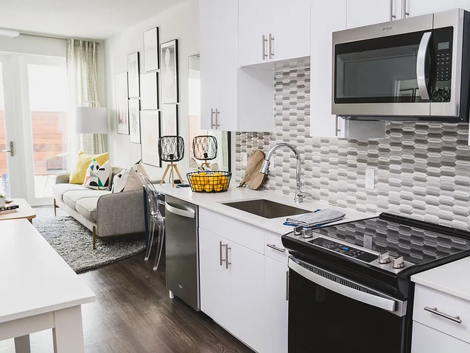 Stunning Kitchens with 42" Contemporary Cabinets